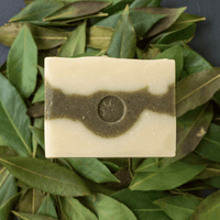 Spruce & Fir Bar Soap