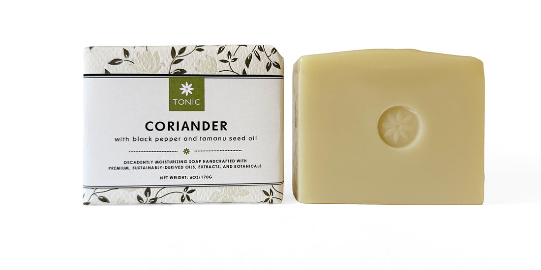 Coriander Bar Soap
