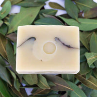 Bay Laurel Bar Soap on bed of wildcrafted laurel leaves | TONIC