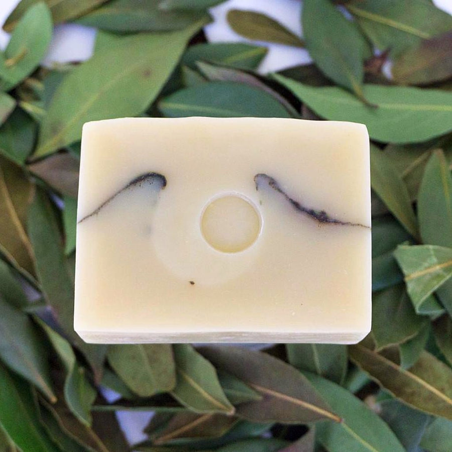 Bay Laurel Bar Soap on bed of wildcrafted laurel leaves | TONIC