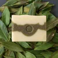 Spruce & Fir Bar Soap